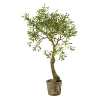 OLEA - Künstlicher Olivenbaum im geflochtenen Rattanübertop, H153