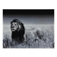 MACHAKA - Quadro leone in Plexiglas® 161x123 cm