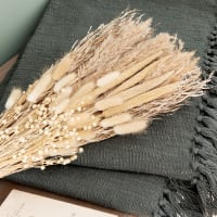 PAMPA - Ramillete de flores secas beige