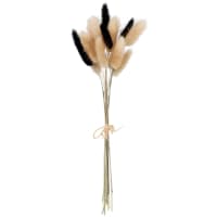 Lote de 2 - Ramillete de flores secas tipo trigo beiges y negras