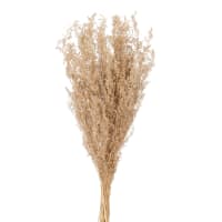 KAZAN - Ramillete de plantas secas de estilo bohemio Alt. 43
