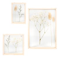 AUGUSTE - Set of 3 wall art pieces with wooden frames and dried plants
