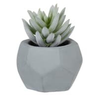 Suculenta artificial com vaso azul
