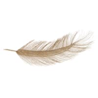 ADELE - Woven Coir Feather Wall Art 46x127