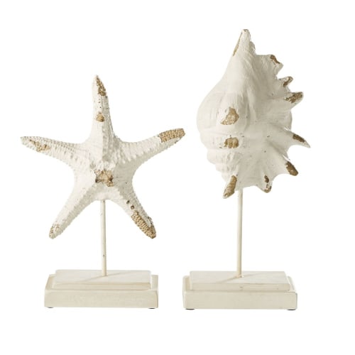 Get Wallpaper 2 Figuras De Estrella De Mar Y Caracola Color Crudo Con Efecto Free HD