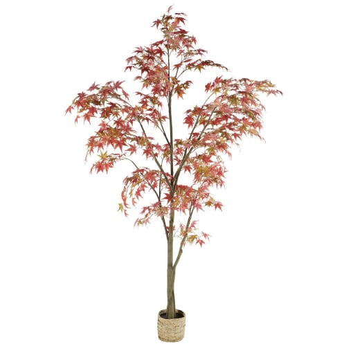 Artificial Red Japanese Maple Tree and Woven Pot | Maisons du Monde