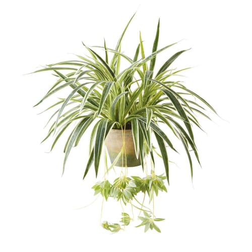 Artificial Spider Plant in Pot JOE Maisons du Monde