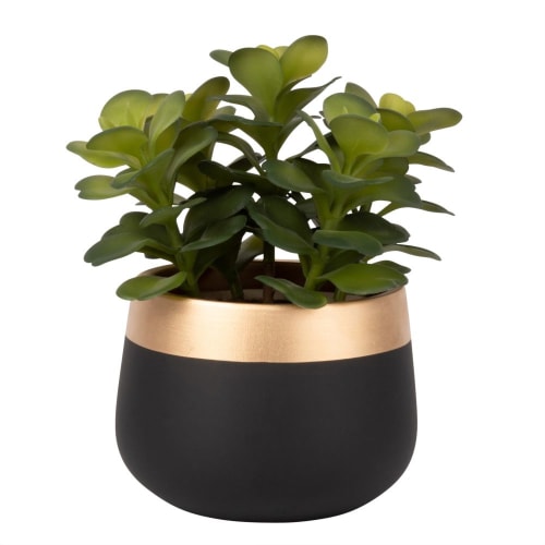 Decor Artificial flowers & bouquets | Artificial Succulent in Ceramic Black and Gold Pot - HP82253