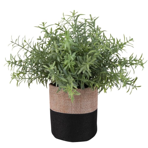 Artificial Succulent in Two-Tone Jute Pot H18