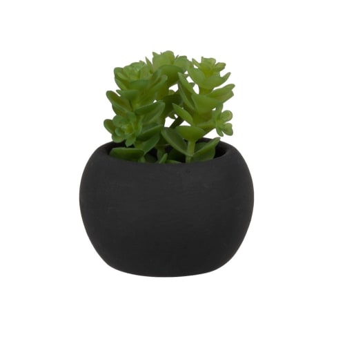 Decor Artificial flowers & bouquets | Artificial succulent with black cement pot - BA18150