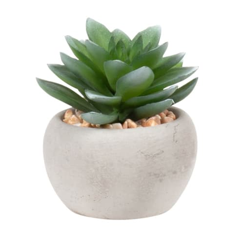 Decor Artificial flowers & bouquets | Artificial succulent with round grey cement pot - FQ99716