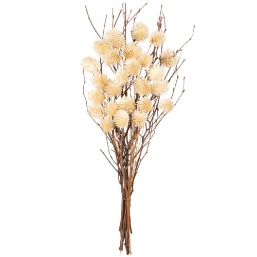 Bouquet fleurs rondes sèches beiges