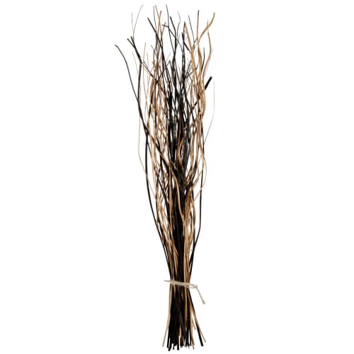 Bouquet of dried black and beige plants