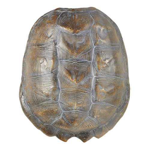 Déco murale carapace tortue noire 37x44