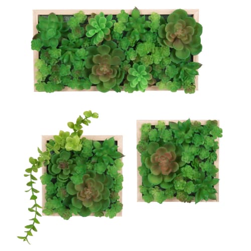 Decorazioni murali piante grasse artificiali verdi (x3) 30x15