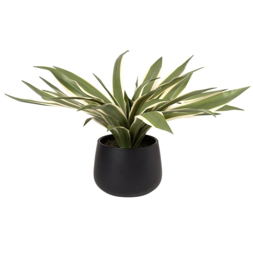 Dekoration Kunstblumen und künstliche Pflanzen | Künstliche Pflanze in Keramiktopf, schwarz - LX82270