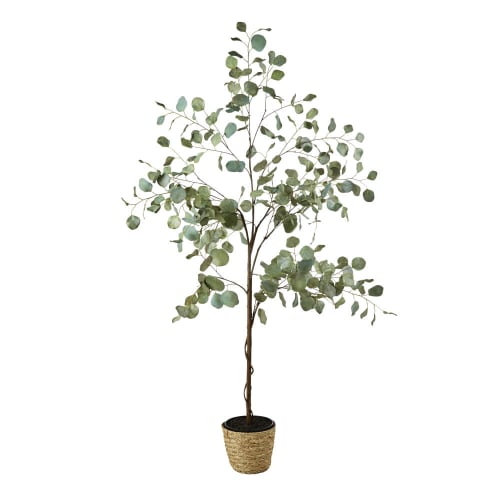 Garten Kunstpflanzen Außenbereich | Künstlicher Eukalyptus im geflochtenen Übertopf H176 - ZL42510