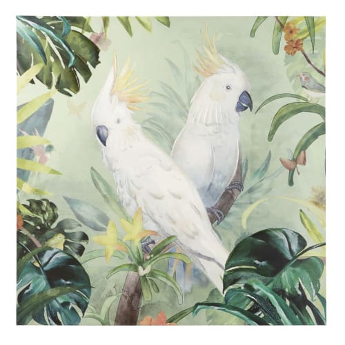 Papageien Set aus 3 Kunst Postkarten Ausschnitt Neu Abverkauf 