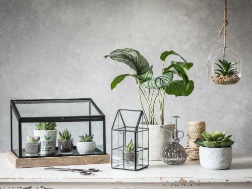 Garten Garten dekorative Objekte | Pflanzenzerstäuber aus grau getöntem Glas - RA40251