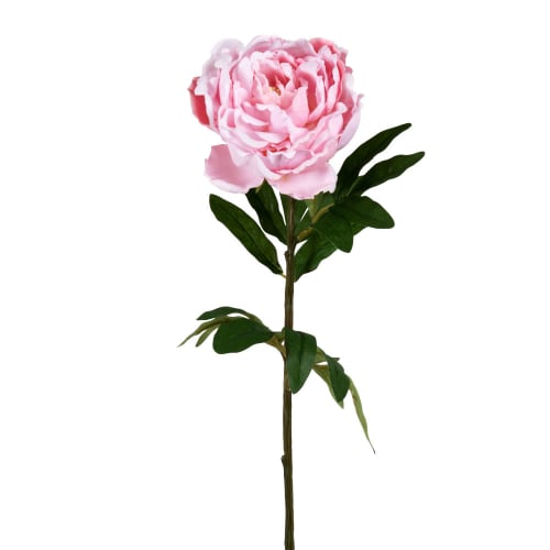 Decor Artificial flowers & bouquets | Pink artificial peony - HE69381