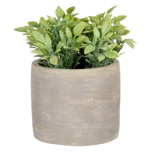 Plante artificielle succulente, avec pot en ciment gris H21