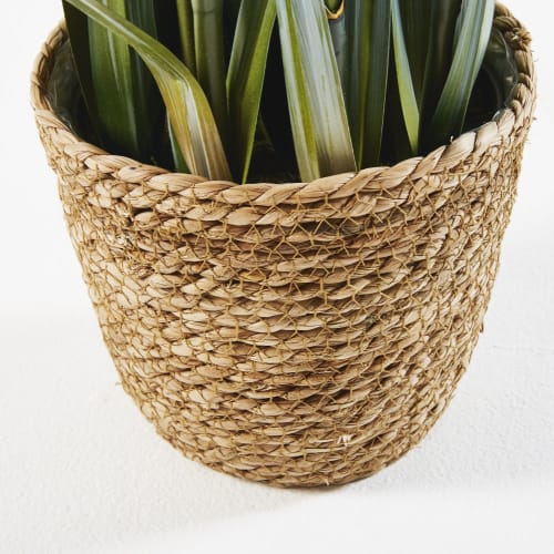 Potted Artificial Reeds Elia Maisons du Monde