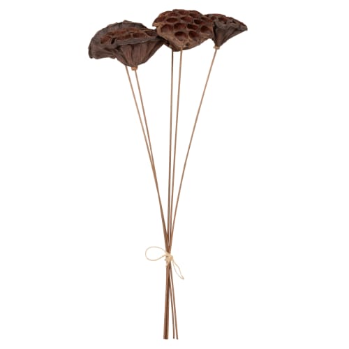 Boucles d'oreilles BLACK PLUME Or - Tiges cristaux blancs & Plume noire