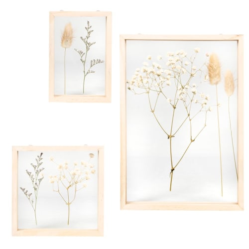 Wall art with pine frames and dried plants (x3) 22x31