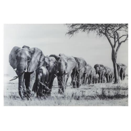 Dekoration Bilder | Wanddeko aus Plexiglas®, bedruckt mit Elefanten, 150x100cm - HR33749