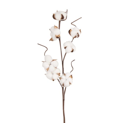 Dekoration Getrocknete Blumen | Wedel aus getrockneter Baumwolle, weiß und braun - GR98052