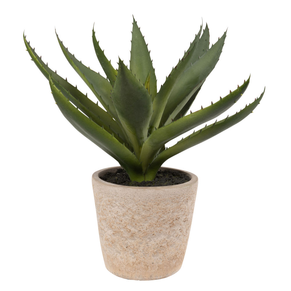 Künstliche Aloe Vera, Zementtopf