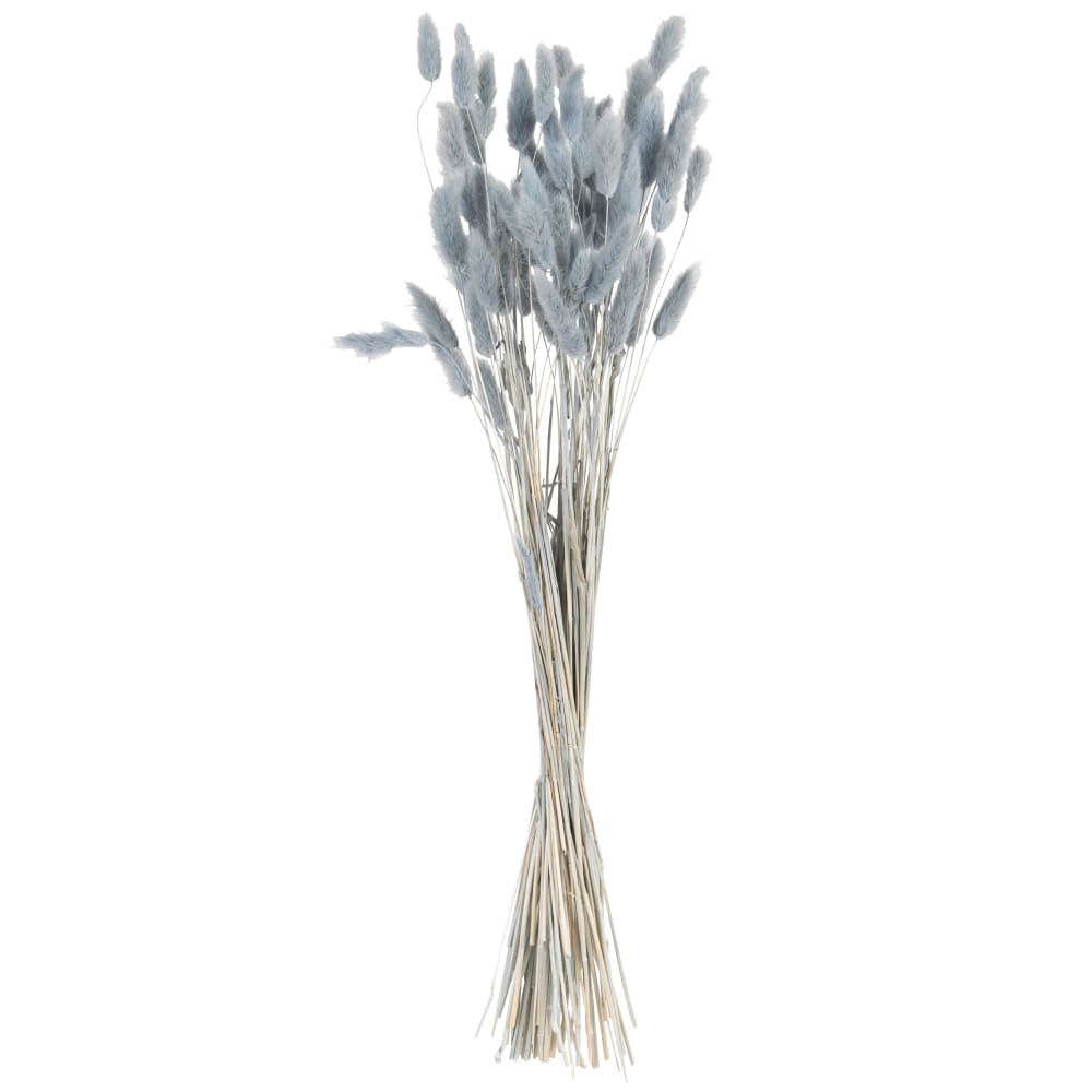 Ramo de lagurus ovatus azul seco 10x10x60 cm