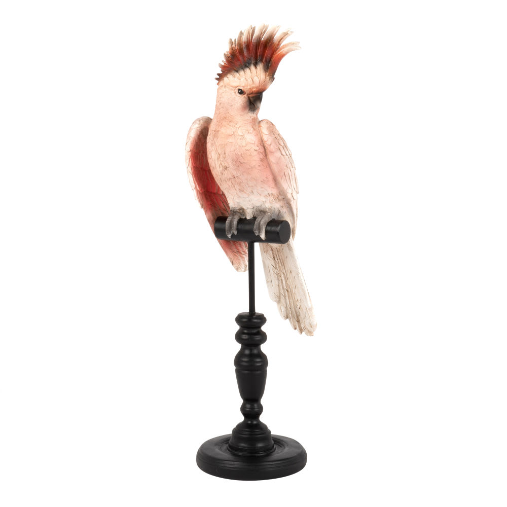 Statue perroquet multicolore H40 — Beyit