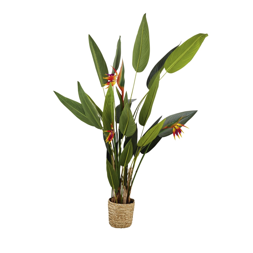 Strelitzia artificiel et pot tressé — Beyit