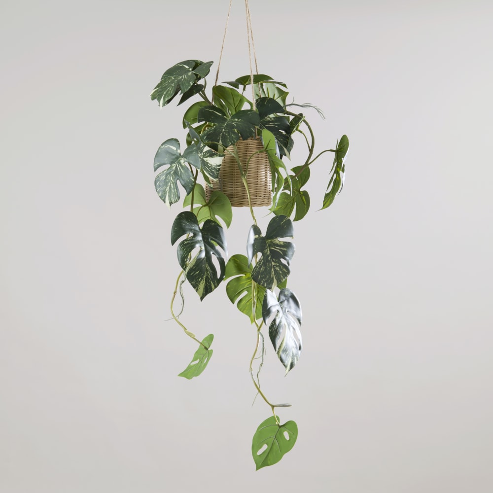 Knstliche Hnge-Monstera in einem Rattantopf Monstera | Maisons du Monde