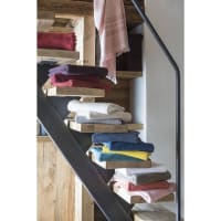 VIVARAISE Serviette Invité Zoé - Lin - Serviette Invité 30 X 50 Cm