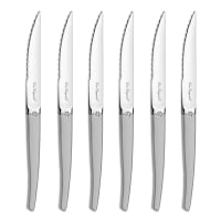 Set 6 Coltelli Da Bistecca Amefa Louis In Acciaio Inox Manico Pakka Francia