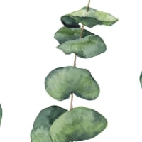 Banner Decorativo Per Festa Di Gioventù - "Alles Gute Zur Jugendweihe", 180x110 Cm, Con Ramo Di Eucalipto, Verde E Oro, Sfondo Fotografico
