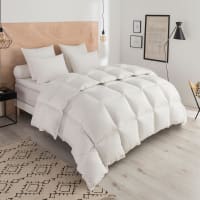 DWR Couette 220x240 Cm Plumes Et Duvets 4 Saisons - Très Douce, Moelleuse, 275 GSM, Certifiée Oeko-Tex RDS Pour Lit 2 Personnes