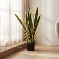 Sansevieria Cilindrica Color Life In Vaso Ceramica Con Spatolatura In Rilievo, Pianta Vera Con Punte Colorate Di Giallo, Powers To Flowers - 5