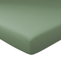 Drap-housse grand bonnet en coton vert lichen 180x200x40cm-Dh. Coton super gd b