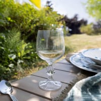 NOVASTYL Lot De 12 Verres à Pied Ballon 19cl - Verres à Vin Transparents Élégants Pour Dégustation Parfaite
