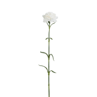 Varilla de clavel artificial con hojas blanco h55