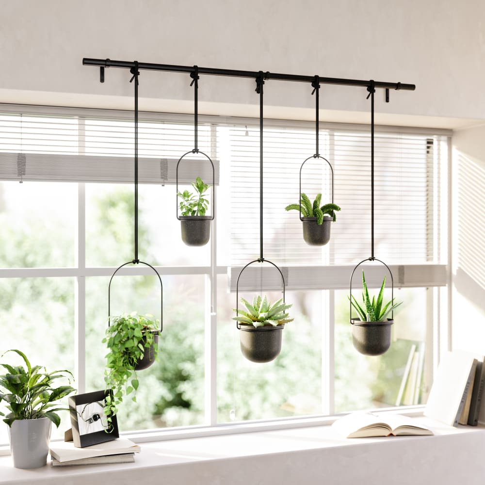 12 Pièces Séries Géométrique Air Plante Titulaire Airplants Rack