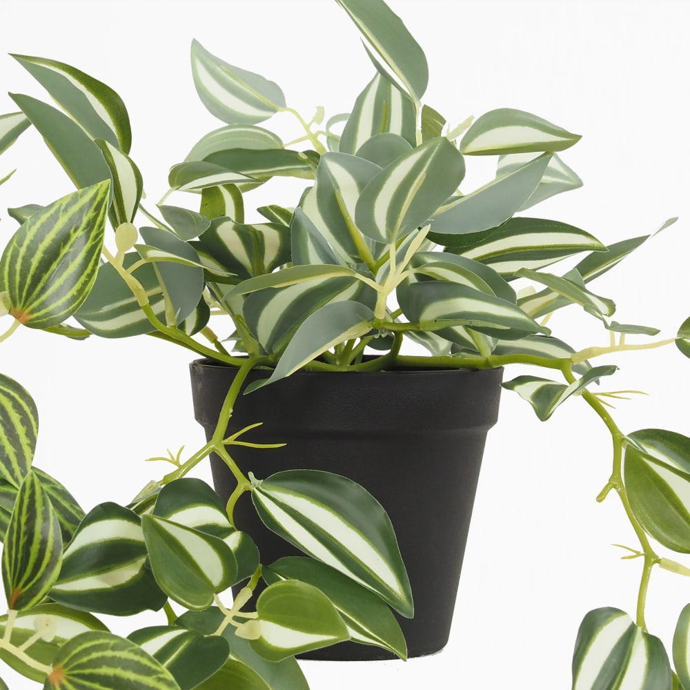 Lot De 3 Plantes Artificielles Tombantes En Pot – Faux Lierre Vert Luxuriant, Pas D’Entretien – Idéal Décoration Intérieure & Extérieure, Bureau, Cuisine, Jardin