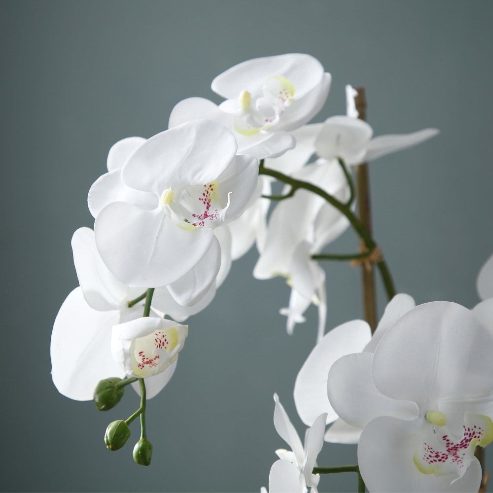 Künstliche Orchidee in Erde H70, Weiß