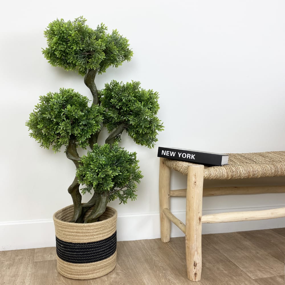 129,99€