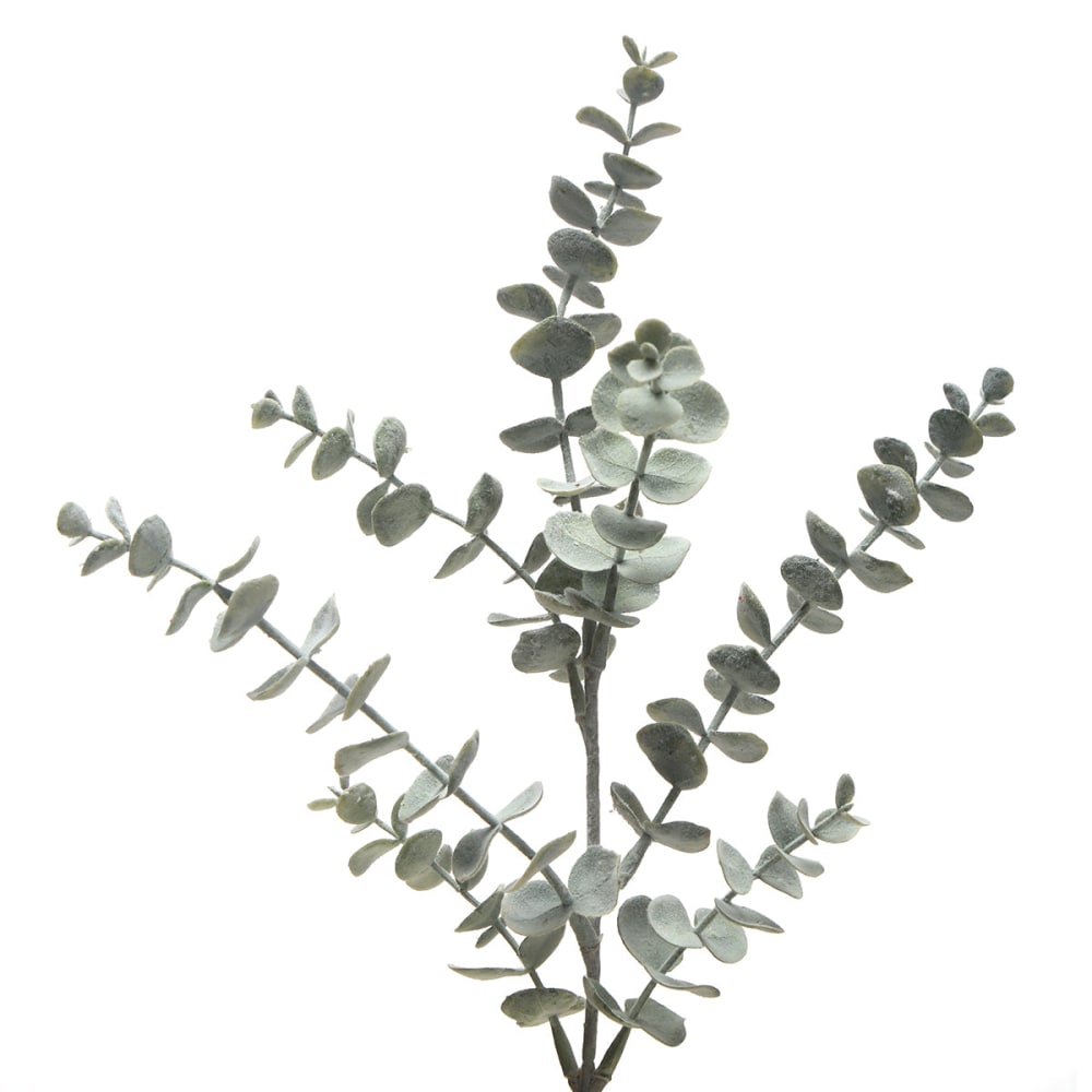 NAHUAA 2PZ Foglie di Eucalipto Argento Dollaro Artificiale Foglia Eucalipto Artificiali Eucalipto Foglie Artificiali per per la Decorazione Domestica del Partito(Nero