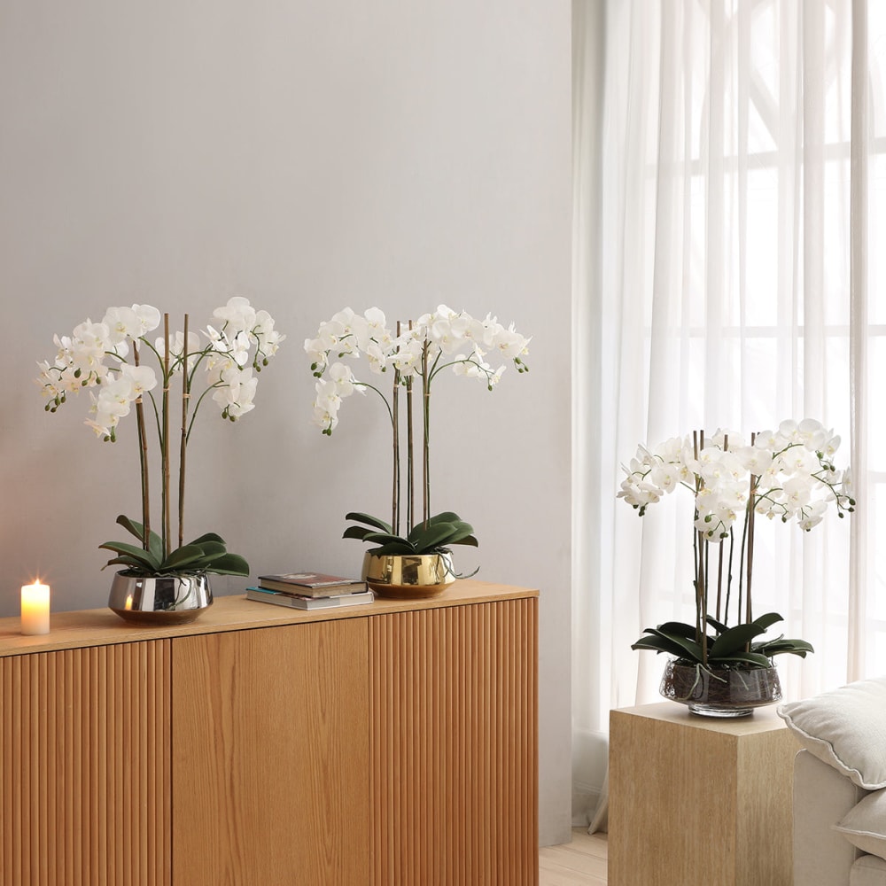 led pflanztopf Beleuchteter Blumentopf mit LED fr Garten & Wohnung