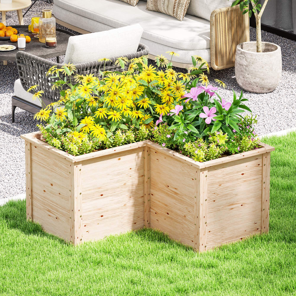 orchideen pflanztopf 20 cm Durchsichtige Pflanztpfe fr orchideen Kaufen?  Schneller Versand!   Sybotanica